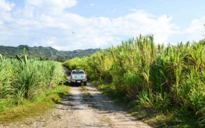 BIOMASS – Philippines’ demand for Biomass