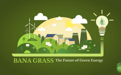 The Future of Green Energy